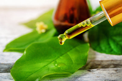 60 Healing Uses For Tea Tree Oil