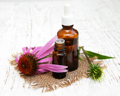 Can Echinacea Actually Help You Stand Up to Viruses and Colds?